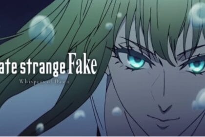 Fate/strange fake