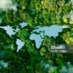 Environmental Sustainability Important