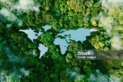 Environmental Sustainability Important