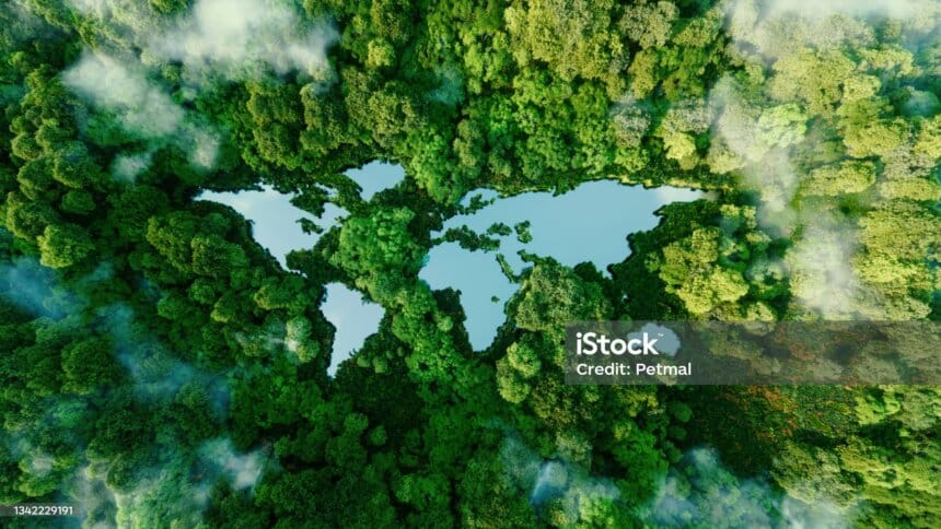 Environmental Sustainability Important