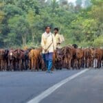 प्रधानमंत्री ग्राम सड़क योजना