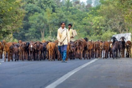 प्रधानमंत्री ग्राम सड़क योजना