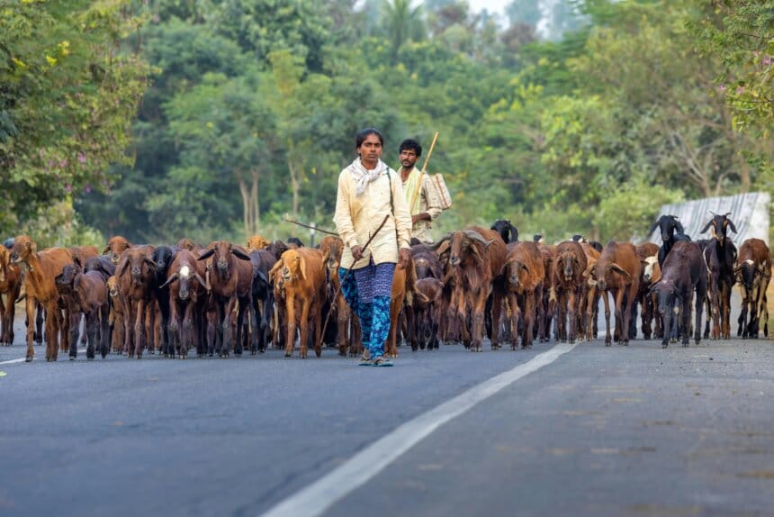 प्रधानमंत्री ग्राम सड़क योजना